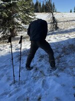IMG_3330.jpg