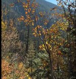 IMG_1466.jpeg