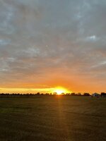 IMG_0523.jpeg