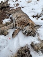IMG_3881.jpeg