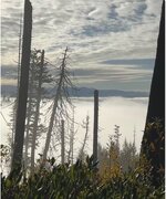 IMG_1487.jpeg