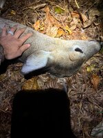 IMG_8627.jpeg