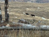 IMG_0576.jpeg