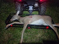 Deer 10222025 7mm-08 140 TGK H4895.jpg