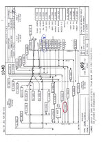 IMG_2937.jpeg