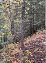IMG_1509.jpeg