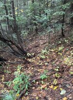 IMG_1508.jpeg
