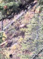 IMG_1506.jpeg