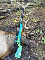 IMG_7262.jpeg