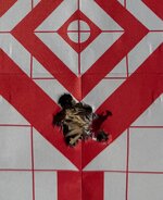 IMG_0037.jpeg