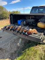 IMG_7475.jpeg
