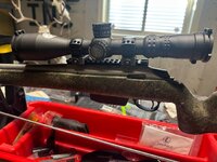 IMG_4575.jpeg