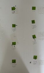IMG_5567.jpeg