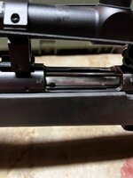 IMG_8310.jpeg