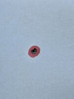 IMG_3803.jpeg