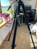IMG_6275.jpeg