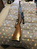 IMG_4491.jpeg