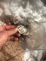 IMG_8439.jpeg