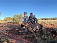 brooks elk 2.jpg