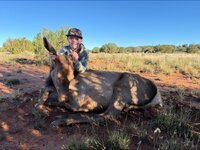 brooks elk 3.jpg