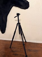 IMG_0190.jpeg