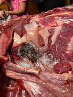 IMG_3601.jpeg