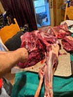 IMG_0722.jpeg