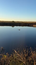 IMG_4581.jpeg