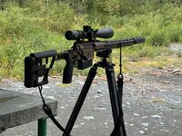 IMG_1207.jpeg