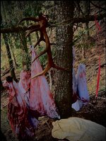 IMG_1491.jpeg