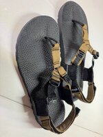 IMG_1206.jpeg