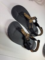 IMG_1203.jpeg