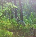 IMG_1517.jpeg