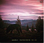 IMG_1521.jpeg