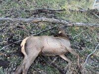 IMG_0912.jpeg