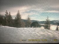 IMG_1525.jpeg
