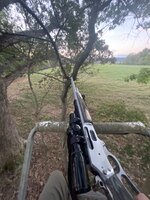 IMG_0684.jpeg