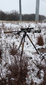 IMG_9844.jpeg