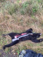 IMG_3153.jpeg