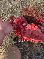 IMG_3144.jpeg