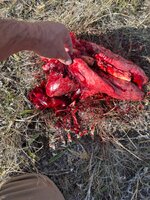 IMG_3143.jpeg
