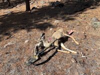 IMG_8363.jpeg IMG_8363.jpeg