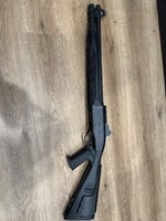 IMG_6115.jpeg