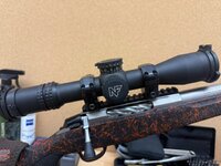 IMG_4543.jpeg