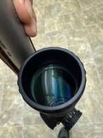 IMG_4547.jpeg