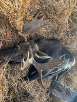 IMG_5148.jpeg