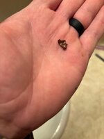 IMG_3146.jpeg