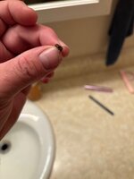 IMG_3145.jpeg
