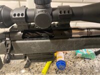 IMG_6007.jpeg