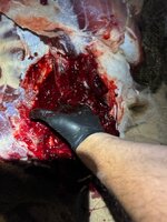 IMG_3103.jpeg